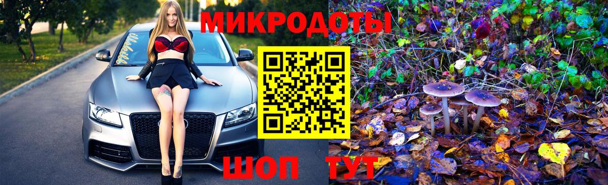 Псилоцибиновые грибы Psilocybe  Псилоцибиновые грибы мухоморы  Воронеж  Вход с VPN 